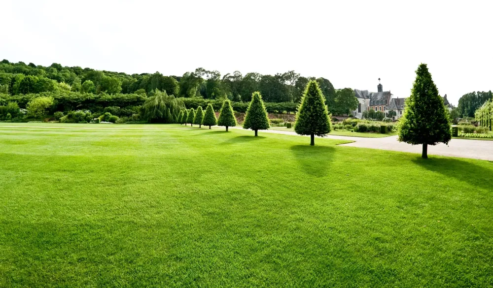 jardin